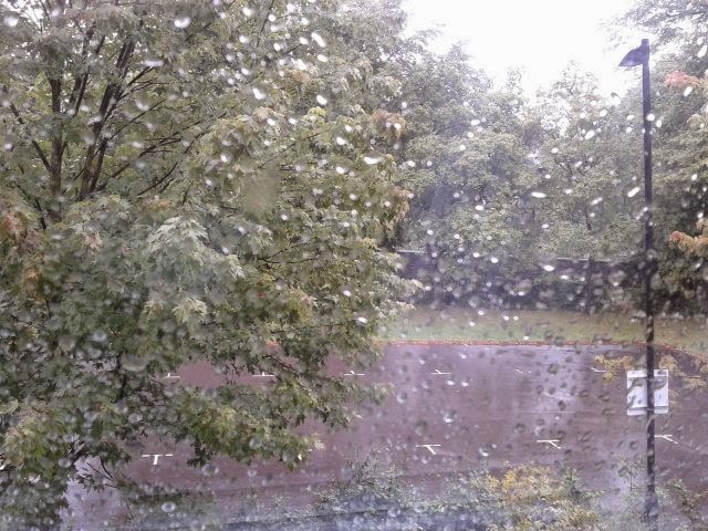 52b09-10527514_10152695725827425_2509733943077571194_n