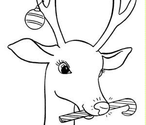 f5513-untitled2brudoplph